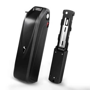 Hailong විදුලි ස්කූටරය ebike බැටරිය 48V 15Ah